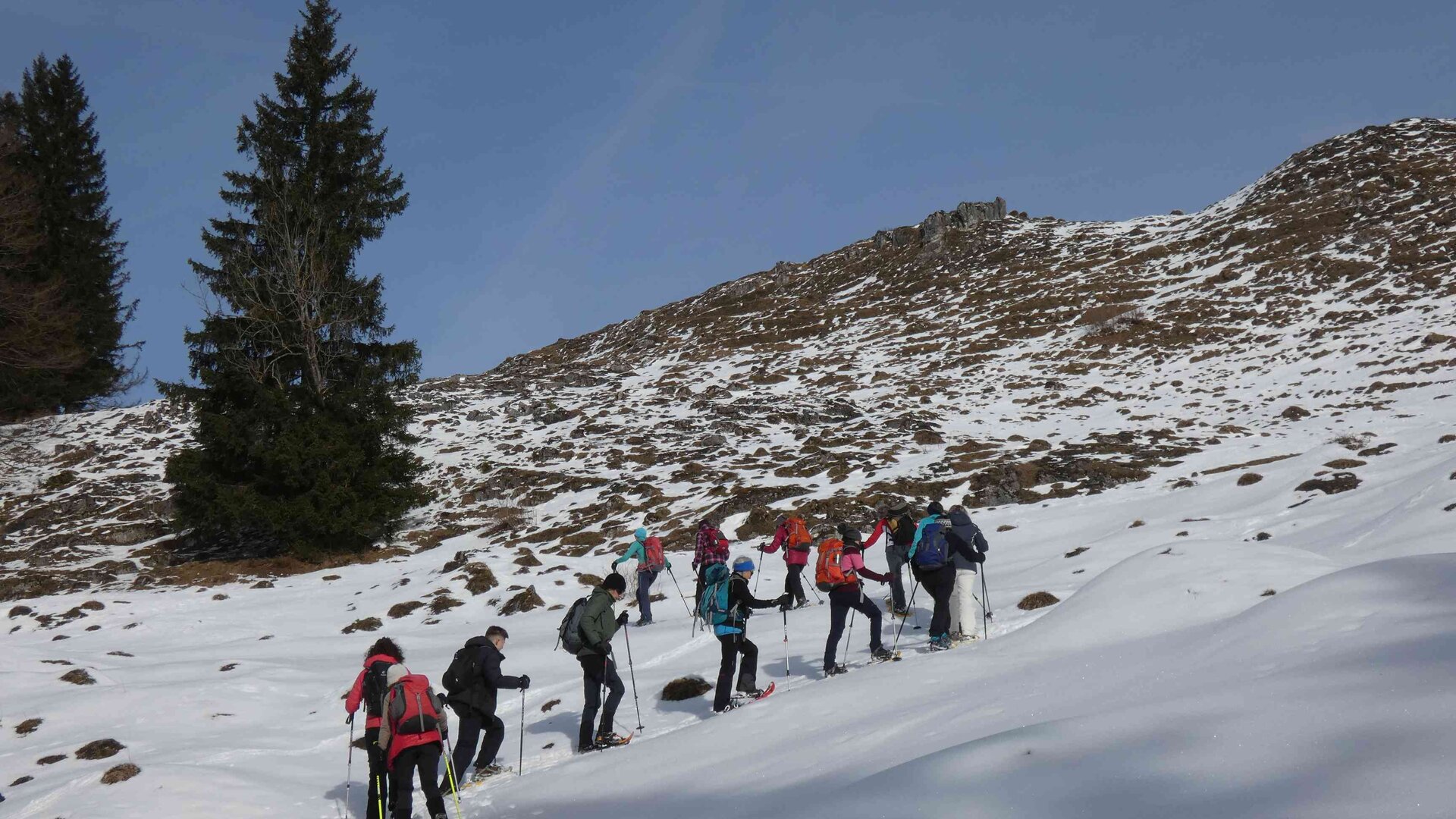 Schneeschuhtouren | © Lydia Buchauer